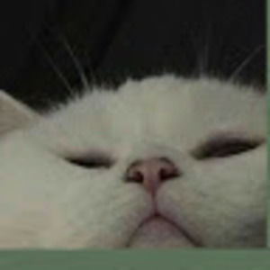 Meet your Posher, Skylar